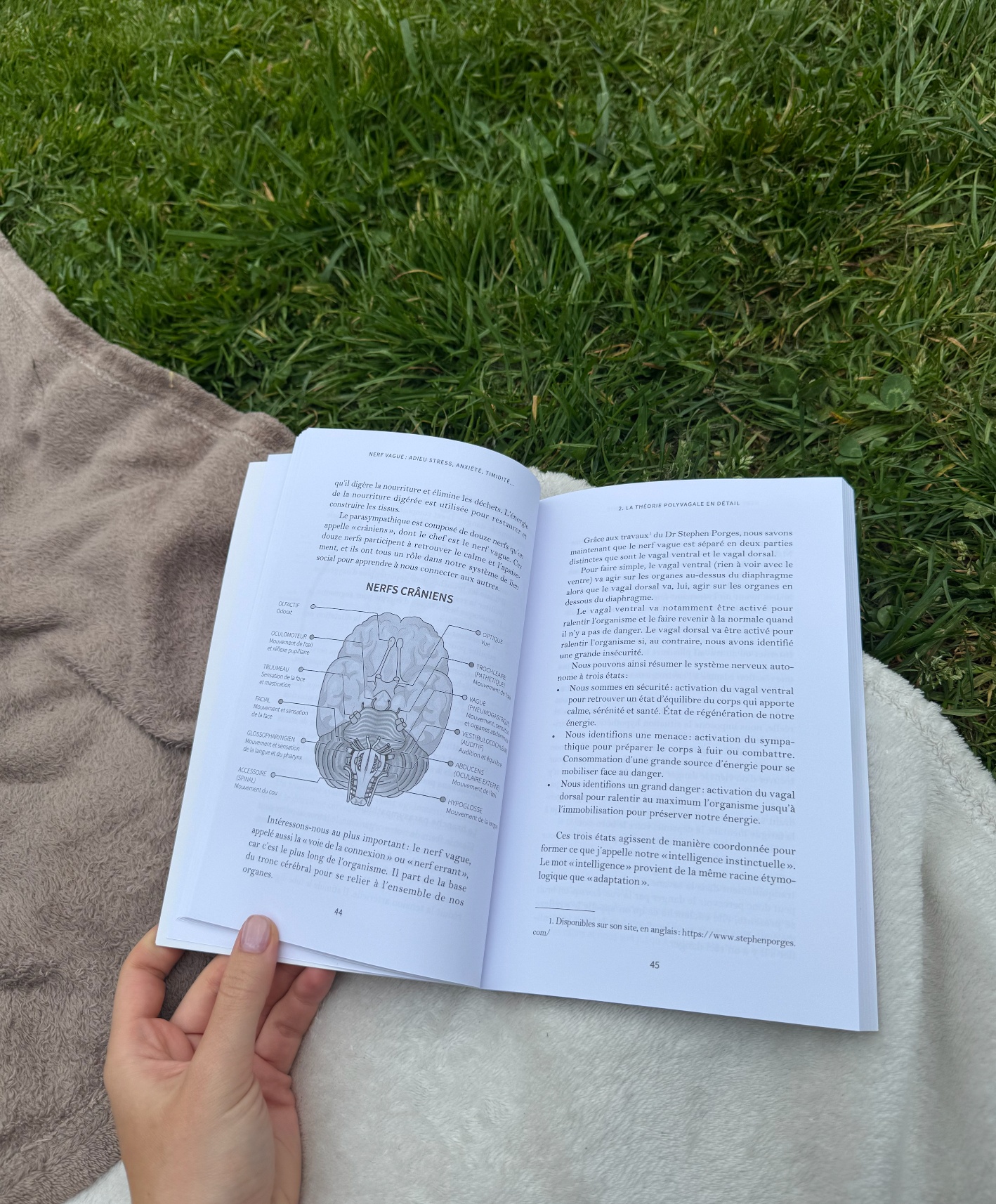 Livre sur le nerf vague et la théorie polyvagale, lu en extérieur