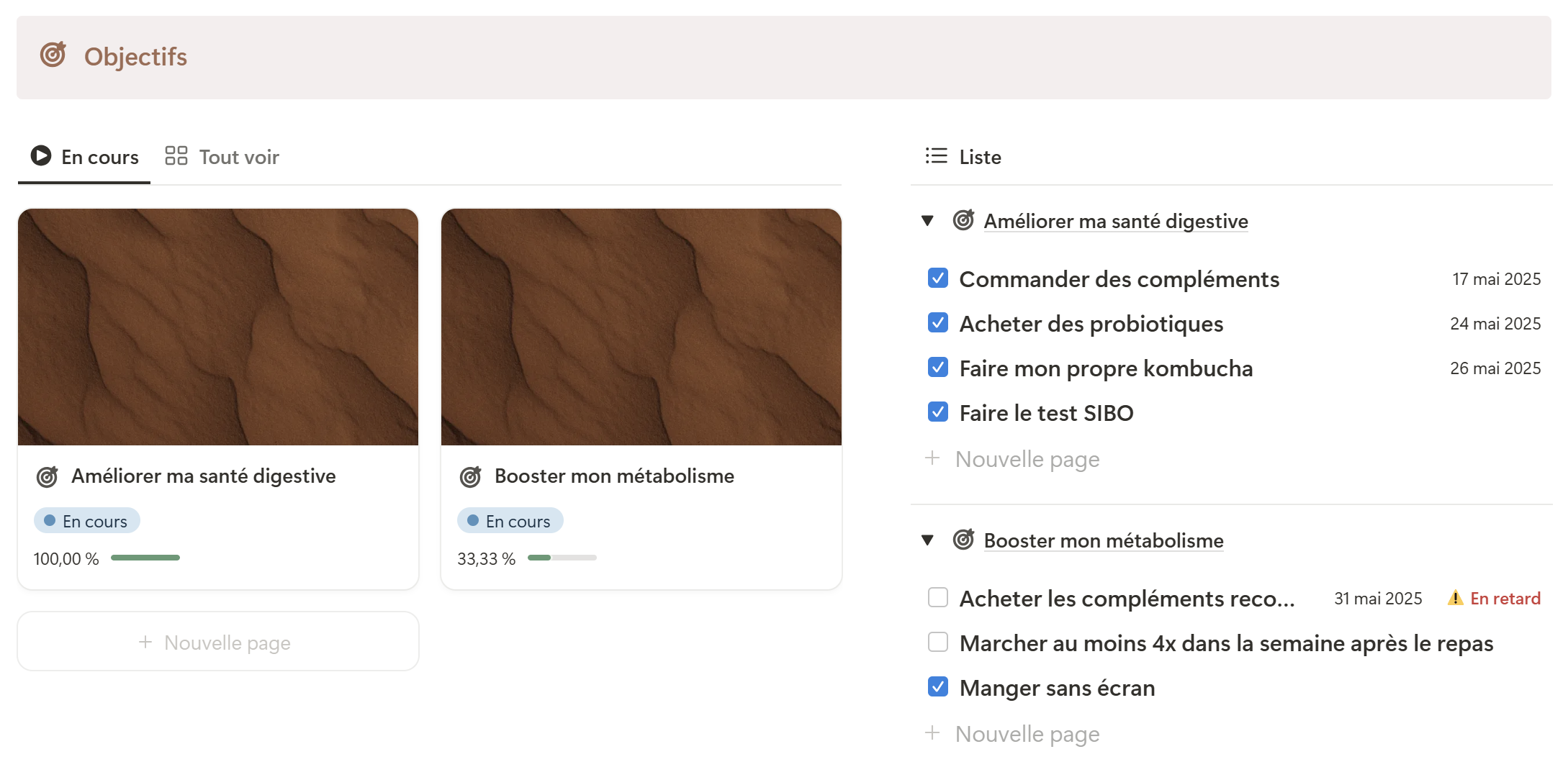 Vue objectifs du template avec barres de progression et listes d'actions