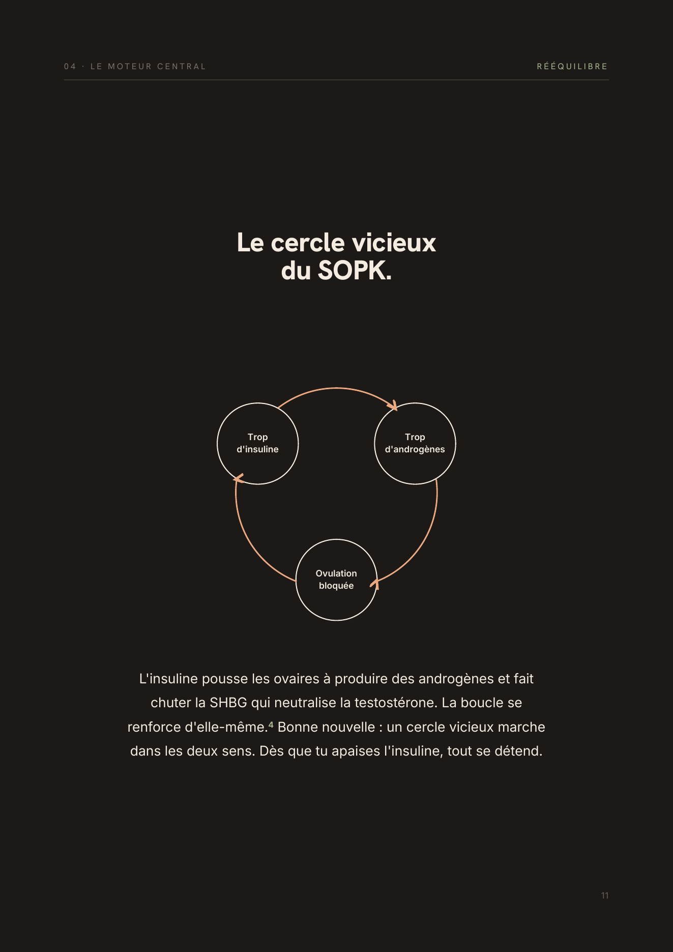 Page du guide : le cercle vicieux du SMOP expliqué par un schéma insuline, androgènes, ovulation.